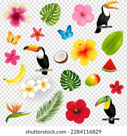 Tropical Flowers And Palm Leaves And Fruits Isolated Transparent Background
