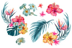 Tropical Flowers, Palm Leaves, Jungle Leaf, Bird Of Paradise Flower, Hibiscus. Vector Exotic Illustrations, Floral Elements Isolated, Hawaiian Bouquet For Greeting Card, Wedding, Wallpaper