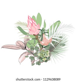 Tropical flowers, palm leaves, jungle leaf, succulent and pink protea flower and lilies. Vector exotic illustrations, floral elements isolated, Hawaiian bouquet for greeting card, wedding, wallpaper