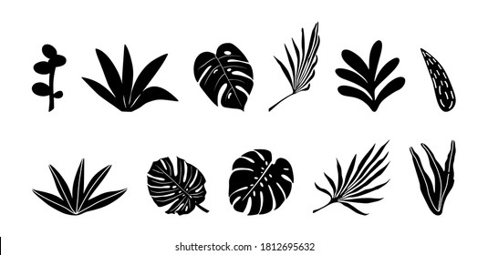 Tropical flowers, palm leaves, jungle leaves, hibiscus. Vector exotic floral illustration, Hawaiian bouquet for greeting card, wedding, Wallpaper. Set of abstract tropical leaves. Monstera, palm