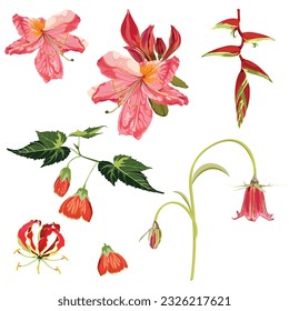 Tropical flowers, palm leaves, jungle leaf, exotic pink flowers. Exotic illustrations, floral elements isolated, Hawaiian bouquet for greeting card, wedding, wallpaper.