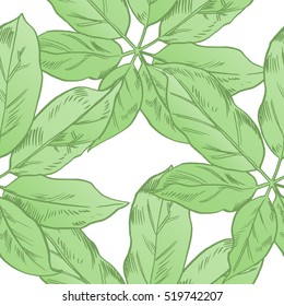Tropical flowers, palm leaves, jungle , bird of paradise flower. Beautiful seamless vector floral pattern background, exotic print