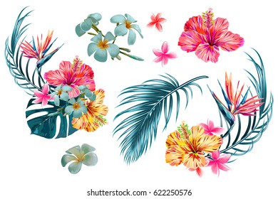 Tropical flowers, palm leaves, jungle leaf, bird of paradise flower, hibiscus. Vector exotic illustrations, floral elements isolated, Hawaiian bouquet for greeting card, wedding, wallpaper - Shutterstock ID 622250576