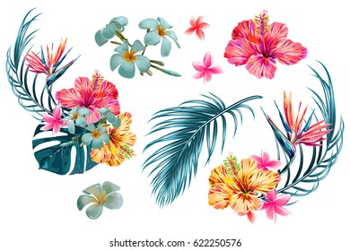 Tropical flowers, palm leaves, jungle leaf, bird of paradise flower, hibiscus. Vector exotic illustrations, floral elements isolated, Hawaiian bouquet for greeting card, wedding, wallpaper