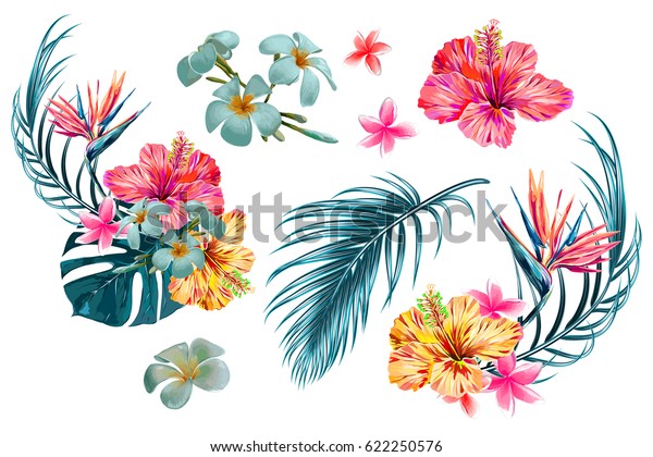 Tropical flowers, palm leaves, jungle leaf, bird of paradise flower, hibiscus. Vector exotic illustrations, floral elements isolated, Hawaiian bouquet for wallpaper