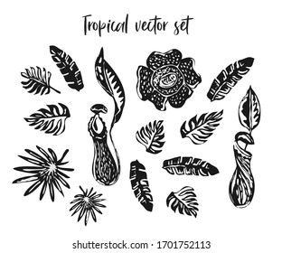 Tropical Flowers and Palm Leaves. Rafflesia flower, Nepenthes plant, banana leaves. Asian, Malaysian nature. Vector hand drawing set. Exotic floral collection