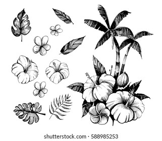 Tropical flowers and palm trees. Outline. Vector set