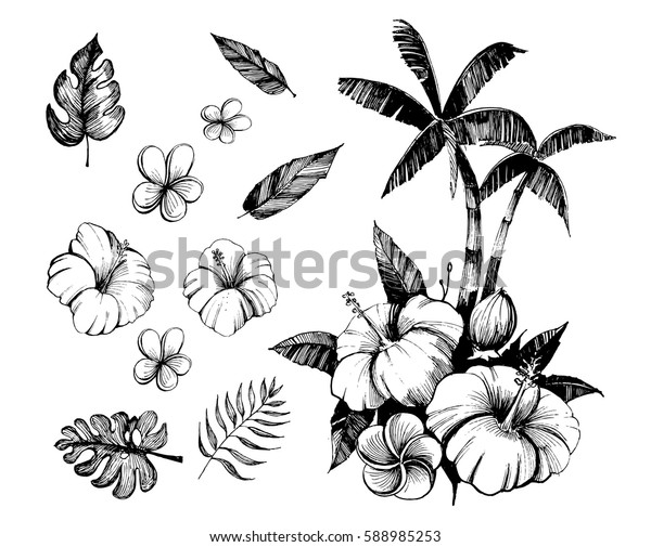 Tropische Blumen Und Palmen Umriss Vektorset Stock Vektorgrafik Lizenzfrei