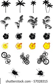 tropical flowers and palms set in vector format very easy to edit