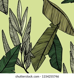 tropical flowers pattern design
