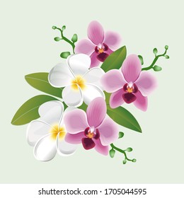   Fleurs tropicales. Phalaenopsis, Orchidée, Frangipani, Plumeria. Feuilles de palmier. Nature exotique. Plante de forêt tropicale. Impression hawaïenne. Illustration vectorielle botanique réaliste.