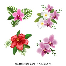 Tropical flowers. Phalaenopsis, Orchid, Frangipani,  Plumeria.Palm leaves. Exotic nature. Rainforest jungle plant. Hawaiian print. Realistic botanical vector illustration.