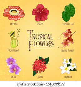 Tropical Flowers and plants like the rafflesia hibiscus elephant ears pitcher plant pagoda flower orchid ixora and plumeria. Tropical climates like Malaysia Singapore Indonesia have an abundance. 