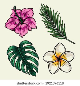 Tropical flowers and plants set with plumeria hibiscus palm and monstera leaves isolated vector illustration