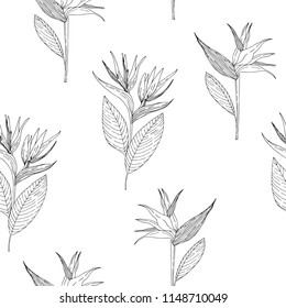 Tropical flowers seamless pattern. Black lines on white background. Vector illustration.
