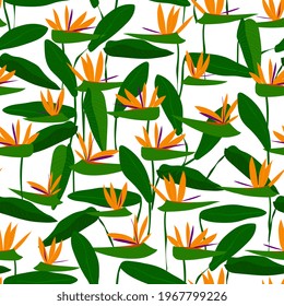 flores tropicales patrón sin costura. Fondo floral exótico. Dibujo manual, estilo garabato.