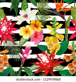 Flores Tropicales Patrón Sin Maravilla. Fondo floral de verano con flores de tigre Lily e Hibiscus. Diseño de coloración de agua para tapiz, tela. Ilustración del vector