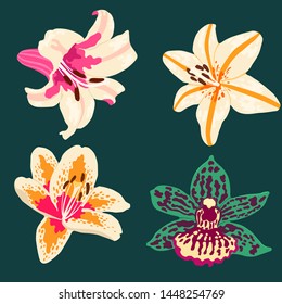 tropical flowers set isolated on dark background vector