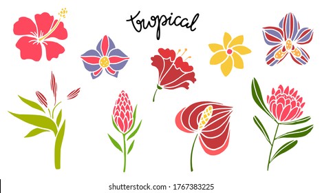 Tropical flowers set. Isolated on white background. Hand drawn. Hand written text Tropical