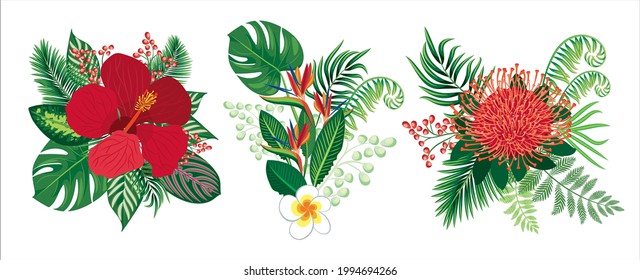 Tropical flowers. Set summer exotic bouquets of herbs. Vector illustration isolated on white background. 