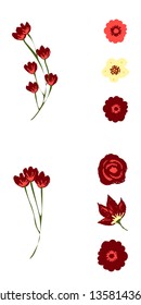 Tropical flowers set. Vector design isolated elements on the white background.