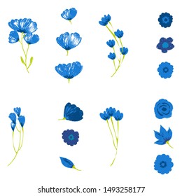 Tropical flowers set. Vector design isolated elements on the white background.