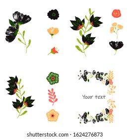 Tropical flowers set. Vector design isolated elements on the white background.