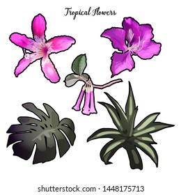 Tropical flowers set. Vector exotic illustrations

