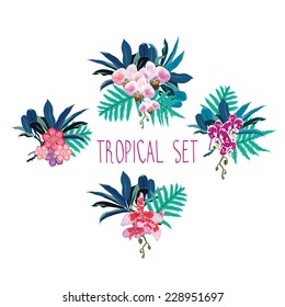 tropical flowers set vector illustration