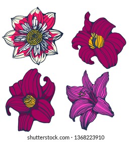 tropical flowers, set,hand drawing,isolated on white background vector
