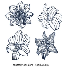 tropical flowers, set,hand drawing,isolated on white background vector