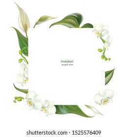Tropical flowers. Spathiphyllum. Floral background. White. Green. Orchids.