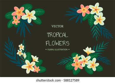 Tropical flowers. Vector hand drawn botanical illustration with plumeria and palm leaves. Can be used for postcards, invitation cards and floral textures.