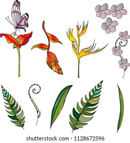 tropical flowers vector illustration