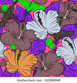 Of tropical flowers. Vector illustration on pink background. Multicolored hibiscus pattern.