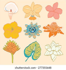 Tropical flowers vector set