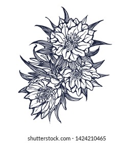 tropical flowers ,vector,hand drawing isolated on white background
