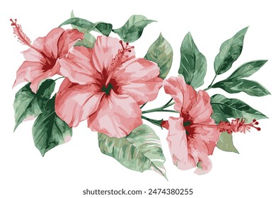 tropical flowers watercolor painting, isolated on white background, minimalism.