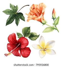 Tropical flowers, watercolor. Vector illustration