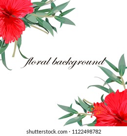tropical flowers. White background