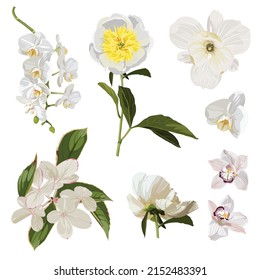 Tropical flowers, white flowers. Exotic illustrations, floral elements isolated, Hawaiian bouquet for greeting card, wedding, wallpaper.