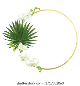 Tropical flowers. White. Green leaves. Orchids.
