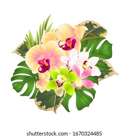 Tropical flowers yellow orchid Phalaenopsis and  cymbidium various bouquet  palm,philodendron on a white background vintage vector illustration editable hand draw
