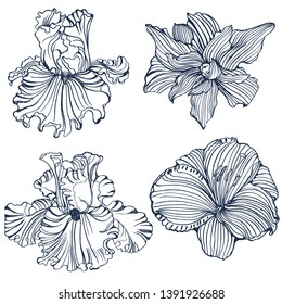 tropical flowers,set, hand drawing , isolated on white background vector