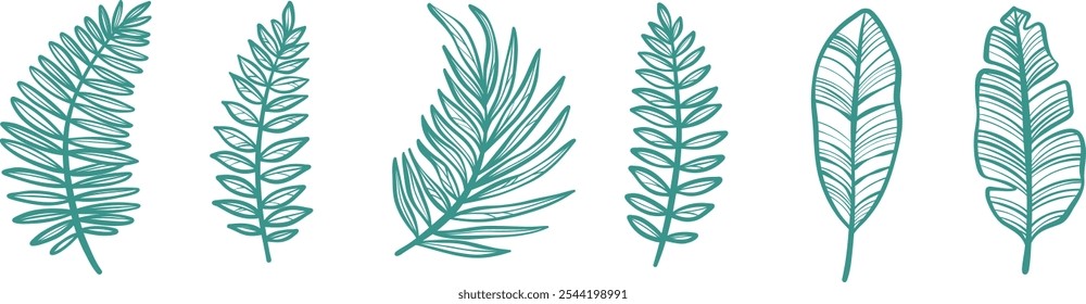 Tropical foliage doodle, green vector leaf illustration set, isolated decorative vector leaves flat clip art set, isolated