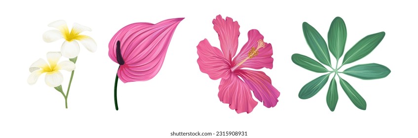 Tropical Foliage with Exotic Plant Green Leaf and Flower Vector Set