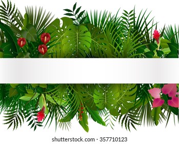 Tropical foliage. Floral design background .vector