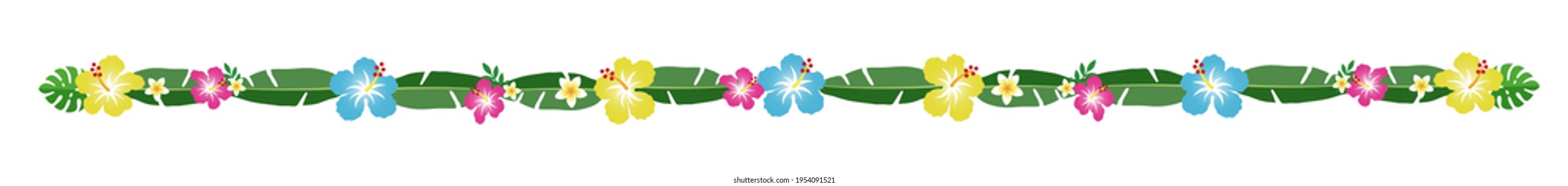Tropical foliage and flower decorations, lines, dividers, No gaps