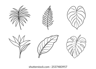 Tropical Foliage Line Art Bundle – Monstera, Palm, Banana, and Philodendron Leaf Illustrations