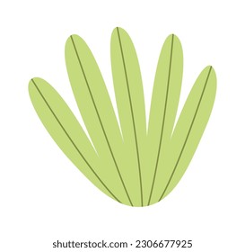 Vektor Illustration der tropischen Blattpflanze